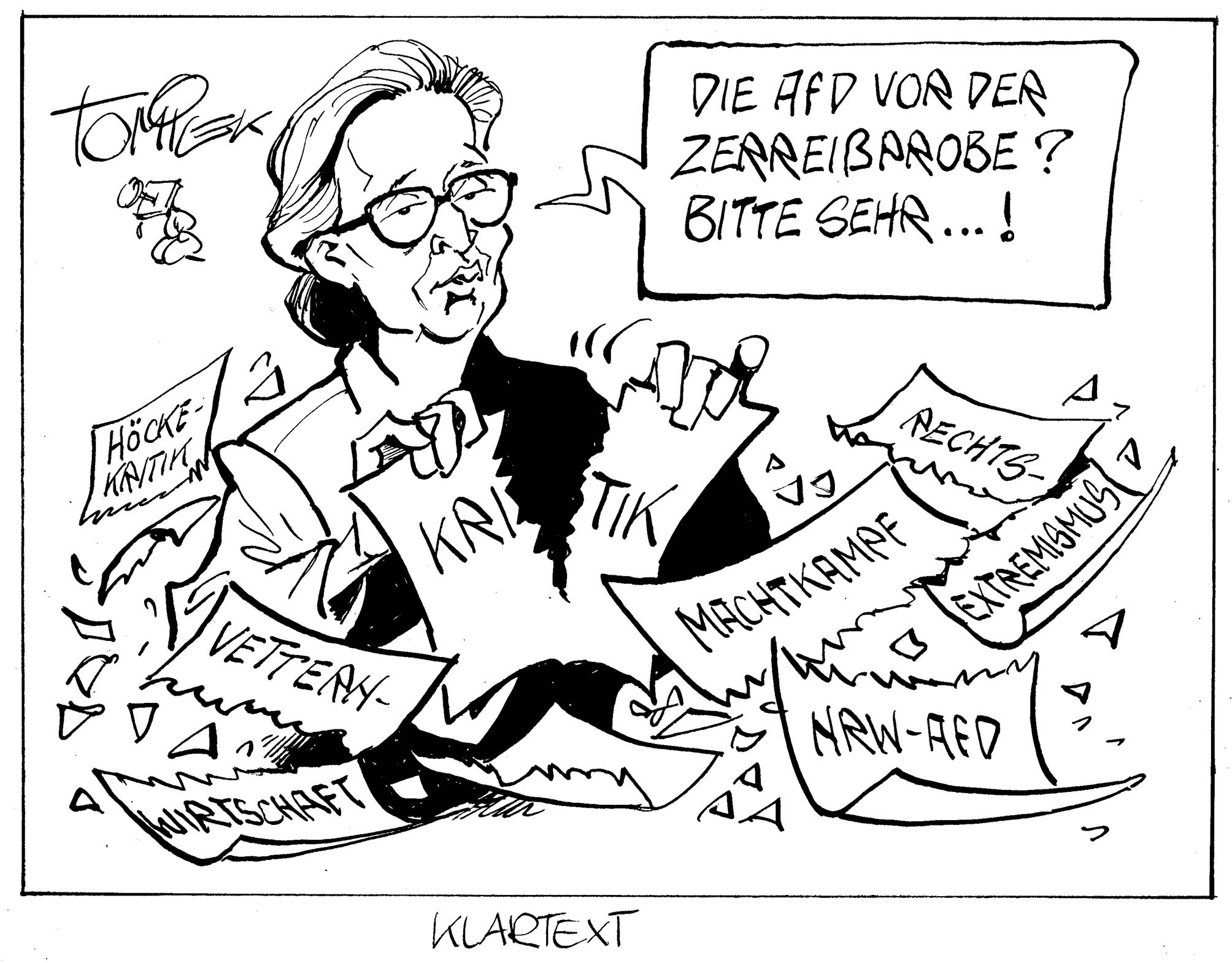 26_07_17_AfD-Machtprobe_Weidel_s.jpg
